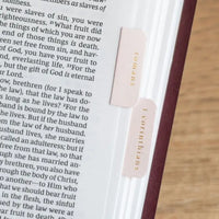 Church Notes Co. - Bible Tabs - Pink and Cream