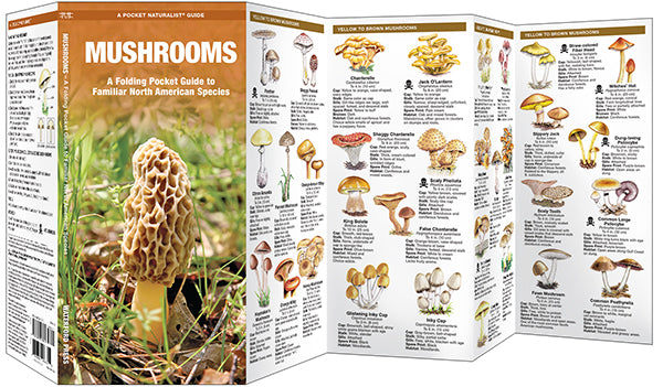 Mushrooms - A Folding Pocket Guide to Familiar North American Species