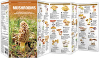 Mushrooms - A Folding Pocket Guide to Familiar North American Species