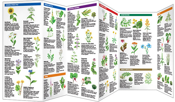 Medicinal Plants - A Folding Pocket Guide to Familiar Widespread Species