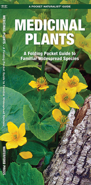 Medicinal Plants - A Folding Pocket Guide to Familiar Widespread Species