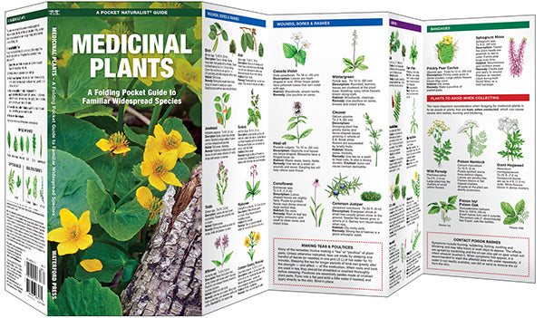 Medicinal Plants - A Folding Pocket Guide to Familiar Widespread Species