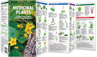 Medicinal Plants - A Folding Pocket Guide to Familiar Widespread Species