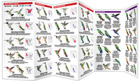 Hummingbirds, 3rd Ed - A Folding Pocket Guide to Familiar Species