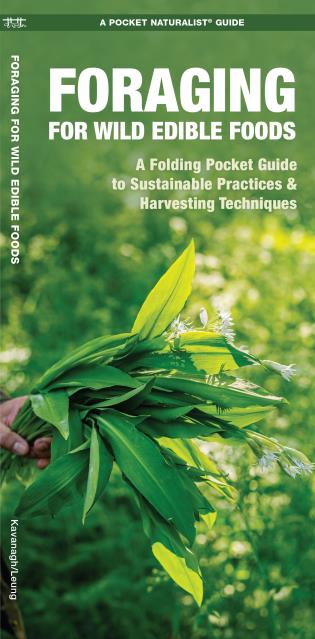 Foraging for Wild Edible Foods A Folding Pocket Guide to Sustainable Practices & Harvesting Techniques