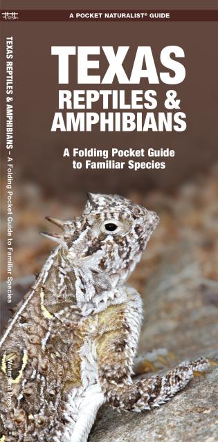 Texas Reptiles & Amphibians A Folding Pocket Guide to Familiar Species