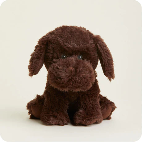 Chocolate Lab Warmies®