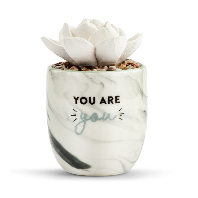 Succulent Oil Diffuser - You are You