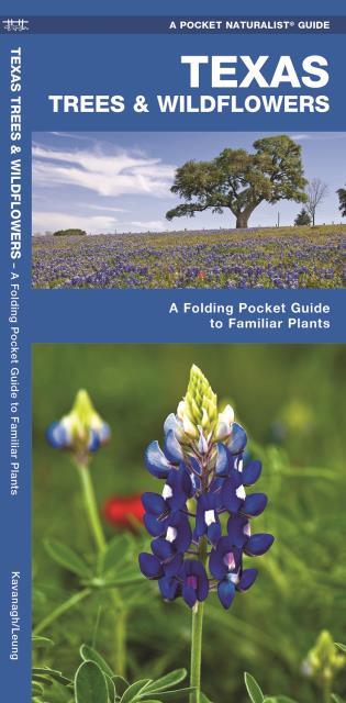 Texas Trees & Wildflowers A Folding Pocket Guide to Familiar Plants