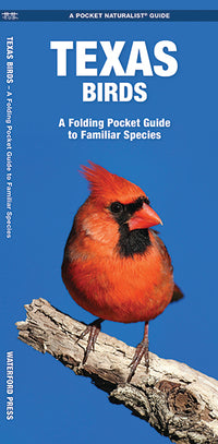 Texas Birds - A Folding Pocket Guide to Familiar Species