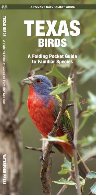 Texas Birds A Folding Pocket Guide to Familiar Species