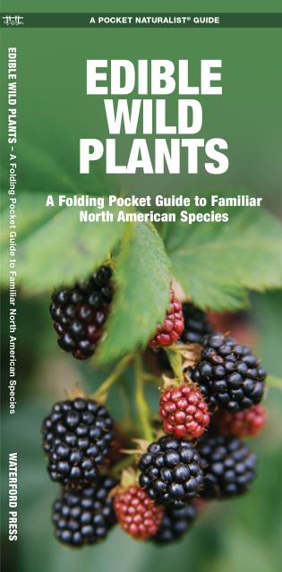 Edible Wild Plants A Folding Pocket Guide to Familiar North American Species