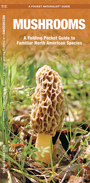Mushrooms - A Folding Pocket Guide to Familiar North American Species