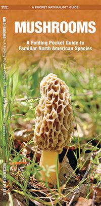 Mushrooms - A Folding Pocket Guide to Familiar North American Species