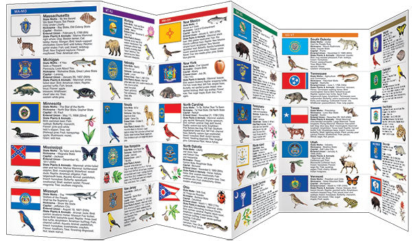 State Flags & Facts - A Folding Pocket Guide to State Flags, Symbols, Mottos & Nicknames