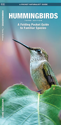 Hummingbirds, 3rd Ed - A Folding Pocket Guide to Familiar Species