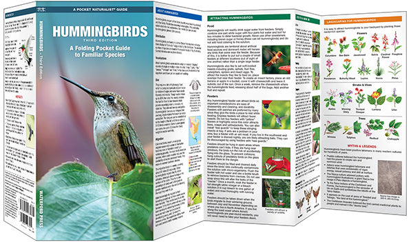 Hummingbirds, 3rd Ed - A Folding Pocket Guide to Familiar Species