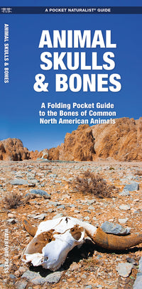 Animal Skulls & Bones - A Folding Pocket Guide to the Bones of Common North American Animals