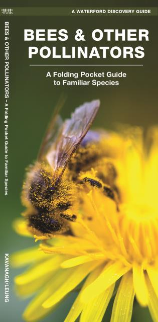 Bees & Other Pollinators A Folding Pocket Guide to Familiar Species