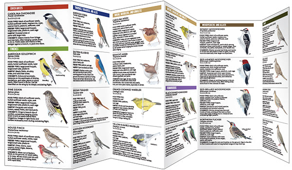 Feeder Birds of Texas - A Folding Pocket Guide to Common Backyard Birds