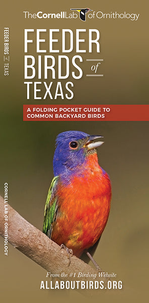 Feeder Birds of Texas - A Folding Pocket Guide to Common Backyard Birds