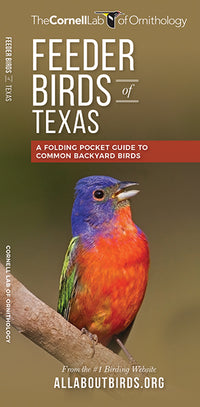 Feeder Birds of Texas - A Folding Pocket Guide to Common Backyard Birds