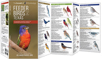 Feeder Birds of Texas - A Folding Pocket Guide to Common Backyard Birds