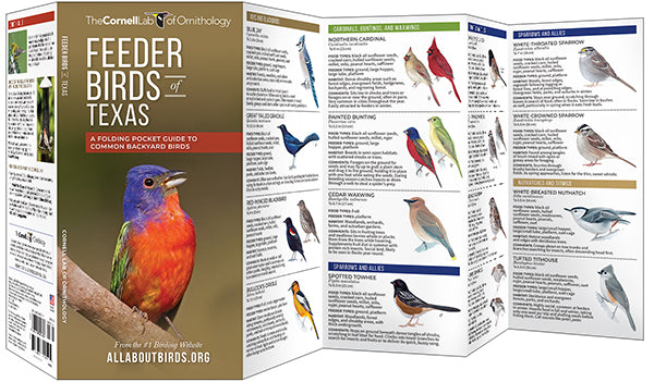 Feeder Birds of Texas - A Folding Pocket Guide to Common Backyard Birds