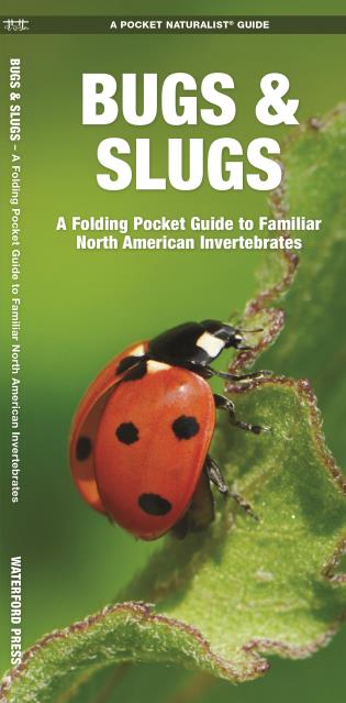 Bugs & Slugs A Folding Pocket Guide to Familiar North American Invertebrates