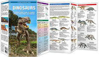 Dinosaurs, 2nd Ed - A Folding Pocket Guide to Familiar Species, Their Habits and Habitats