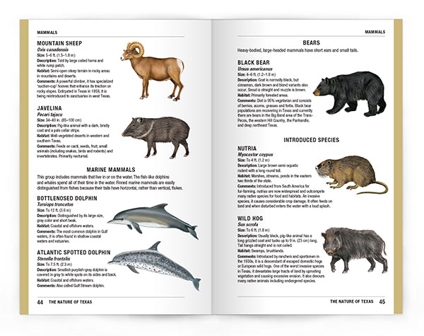 Nature of Texas An Introduction to Familiar Plants, Animals and Outstanding Natural Attractions