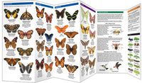 Texas Butterflies & Pollinators - A Folding Pocket Guide to Familiar Species