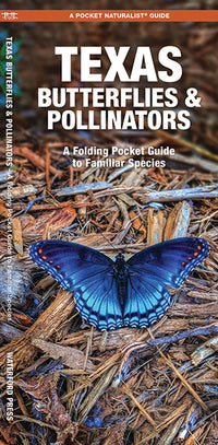 Texas Butterflies & Pollinators - A Folding Pocket Guide to Familiar Species