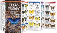 Texas Butterflies & Pollinators - A Folding Pocket Guide to Familiar Species