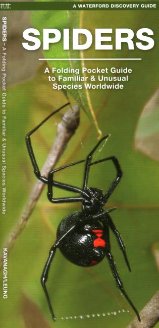 Spiders: A Folding Pocket Guide to Familiar Species Worldwide  in