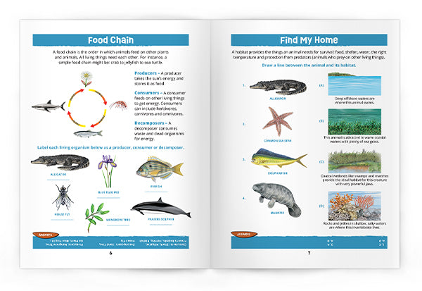 Texas Seashore Life Nature Activity Book Games & Activities for Young Nature Enthusiasts