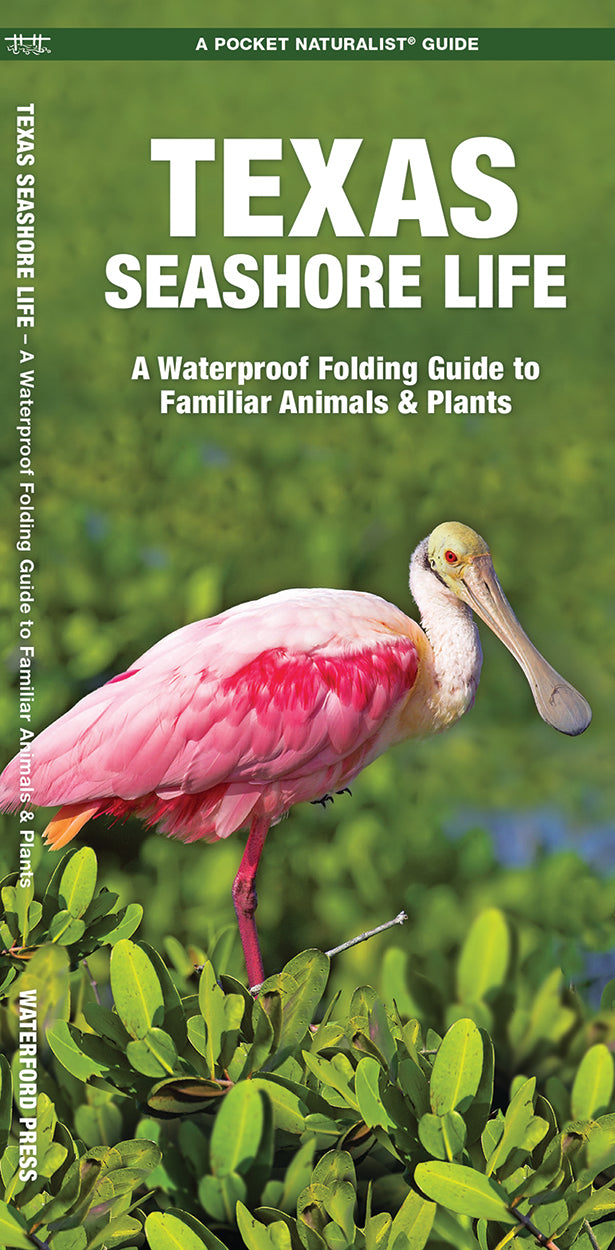 Texas Seashore Life, 3rd Ed - A Folding Guide to Familiar Animals & Plants