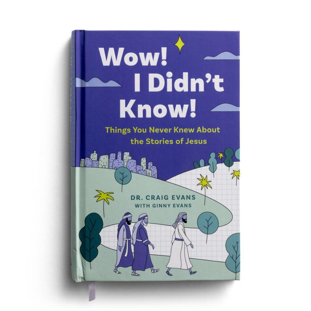 Wow! I Didn't Know! Things You Never Knew about the Stories of Jesus