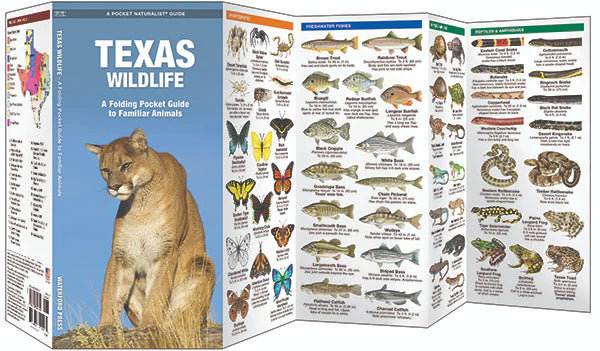 Texas Wildlife - A Folding Pocket Guide to Familiar Animals