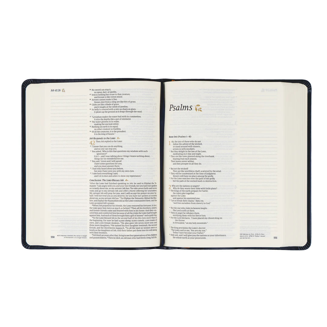 NLT Notetaking Bible: Versailles Theme
