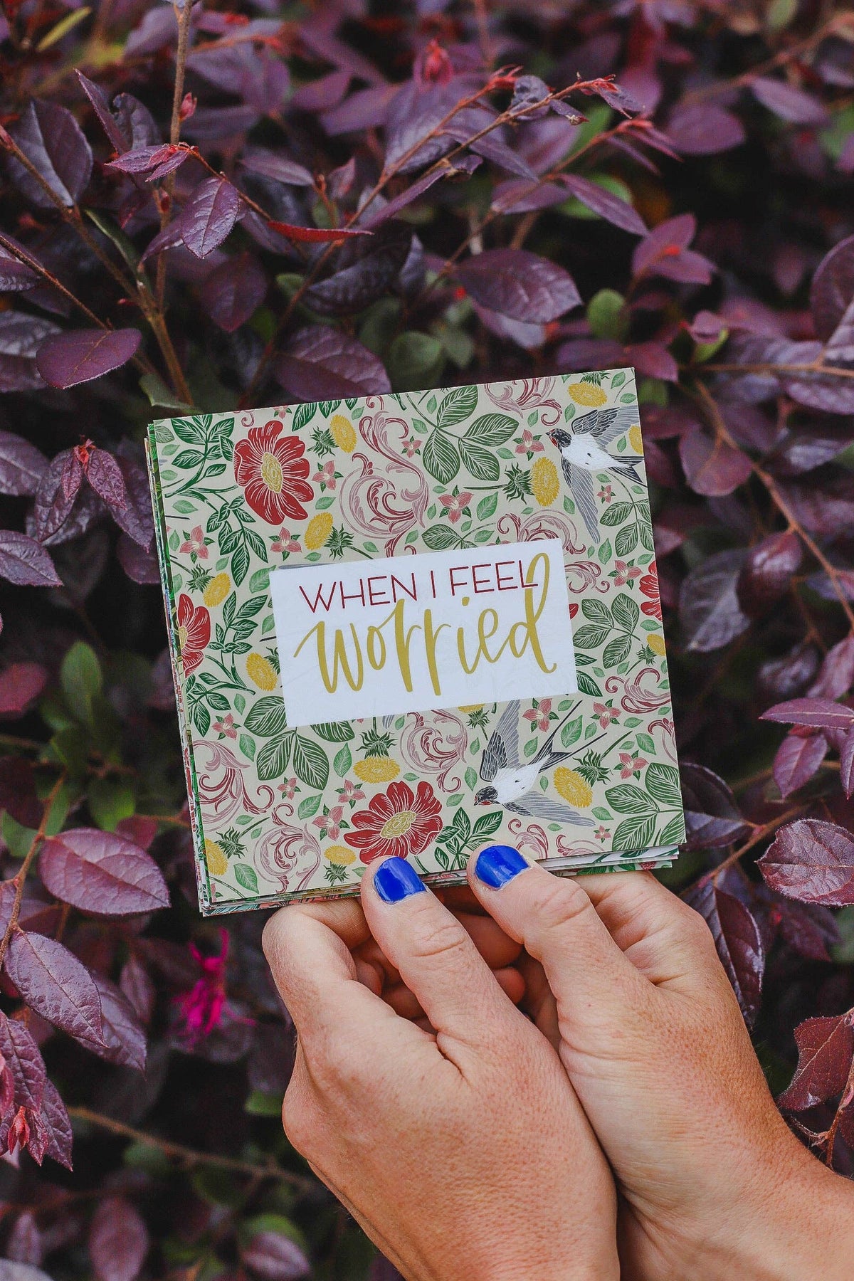 Crew + Co - Everyday Encouragement Cards • For Women