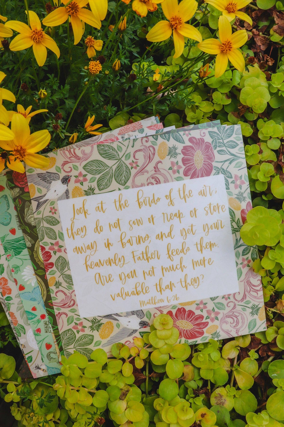 Crew + Co - Everyday Encouragement Cards • For Women