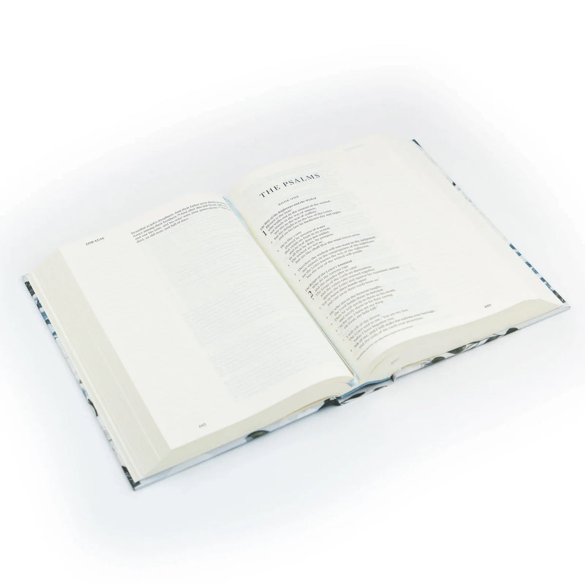 ESV Single Column Journaling Bible Large Print