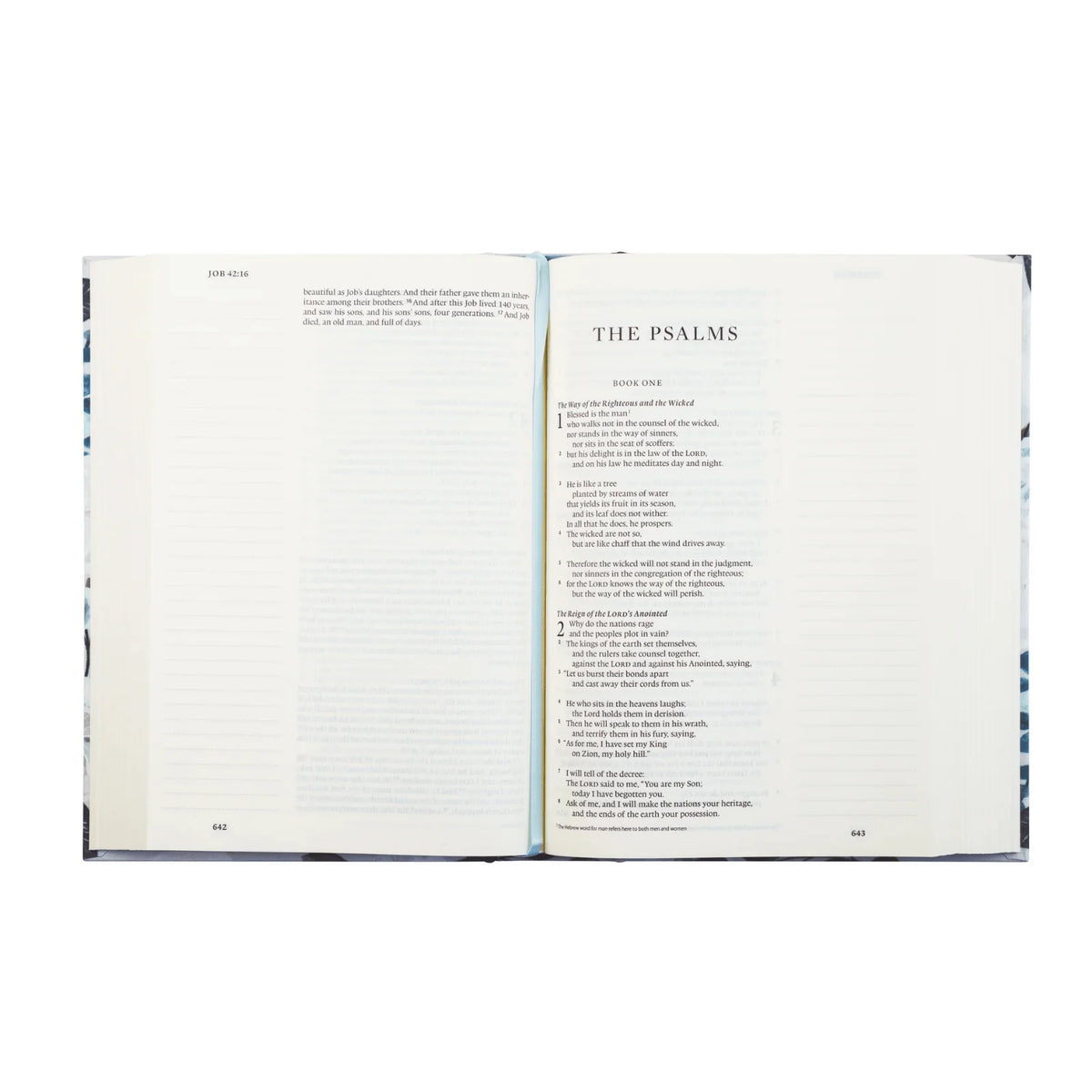 ESV Single Column Journaling Bible Large Print