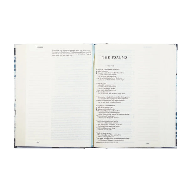 ESV Single Column Journaling Bible Large Print