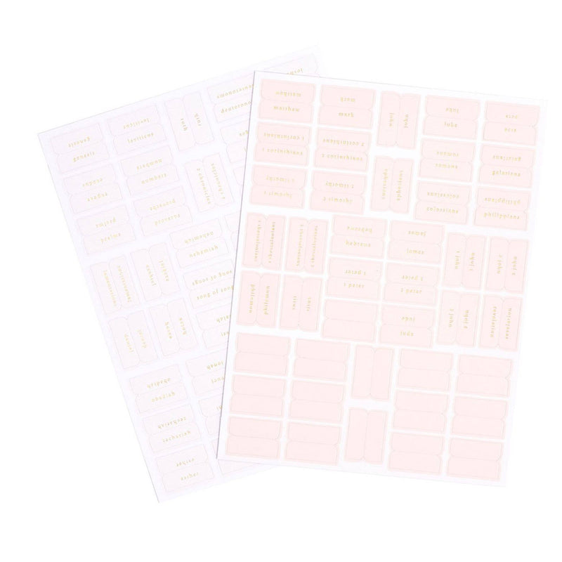 Church Notes Co. - Bible Tabs - Pink and Cream