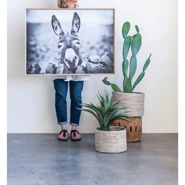 Framed Canvas Wall Decor with Donkey